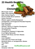 Essential Health Cinnamon Tincture 50ml