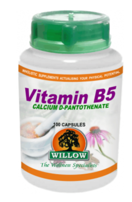 Willow Vitamin B5 100 Capsules