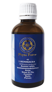 Phyto-Force Echinacea Tincture 50ml