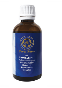 Phyto-Force Mullein - 50ml
