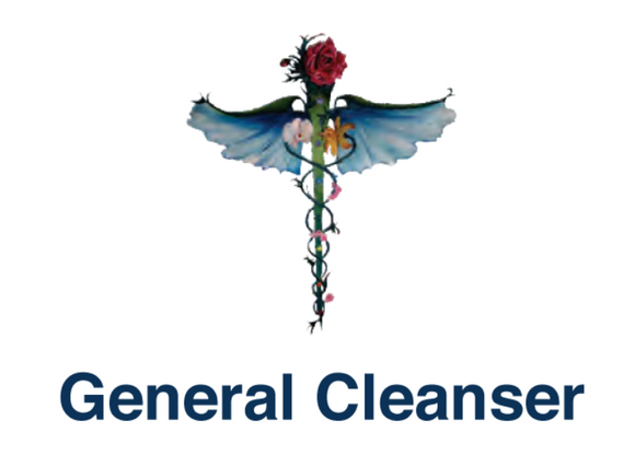 Natural Solutions General Cleanser